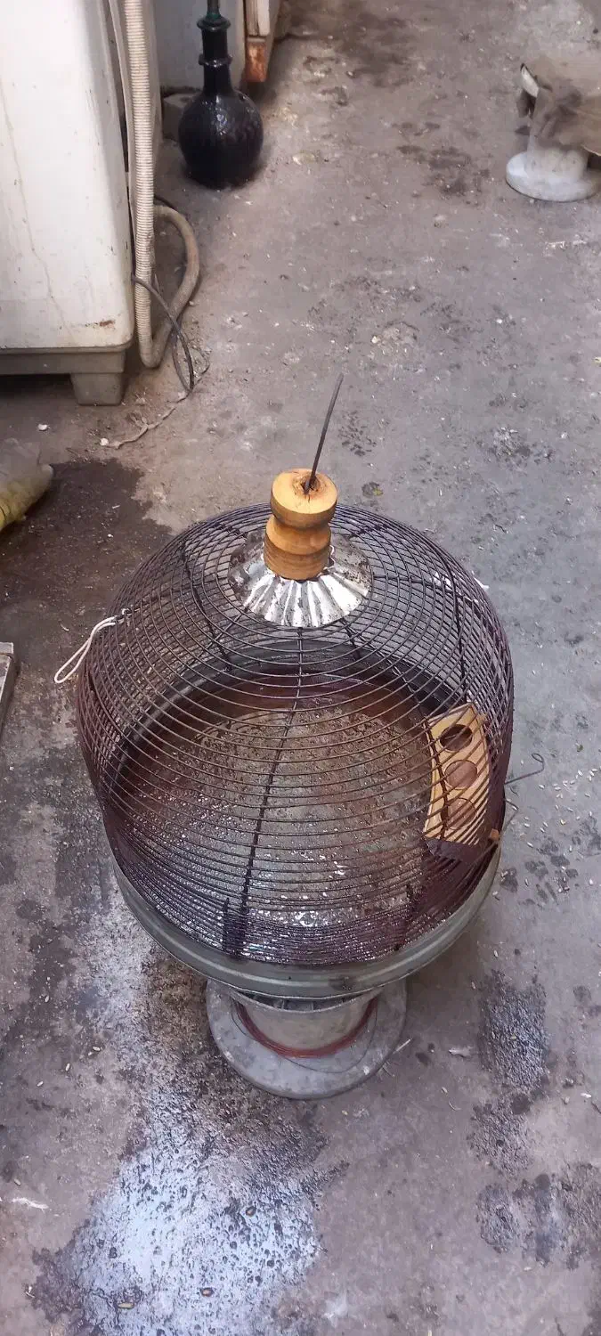 قفس پرنده|لوازم جانبی حیوانات|شیراز, شهرک صنعتی شیراز|دیوار