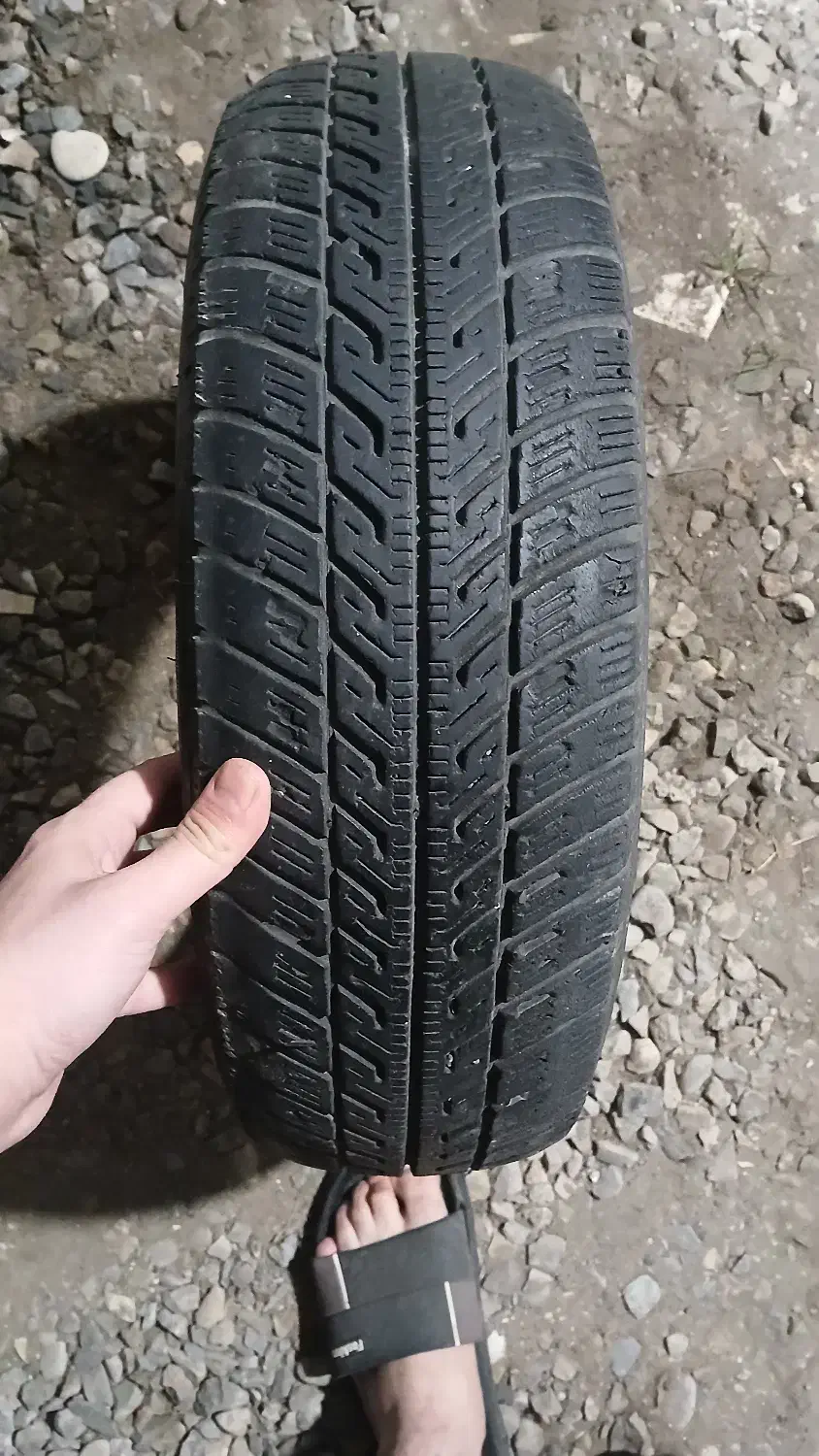 لاستیک تیبا|قطعات یدکی و لوازم جانبی|لاهیجان, لیالستان|دیوار