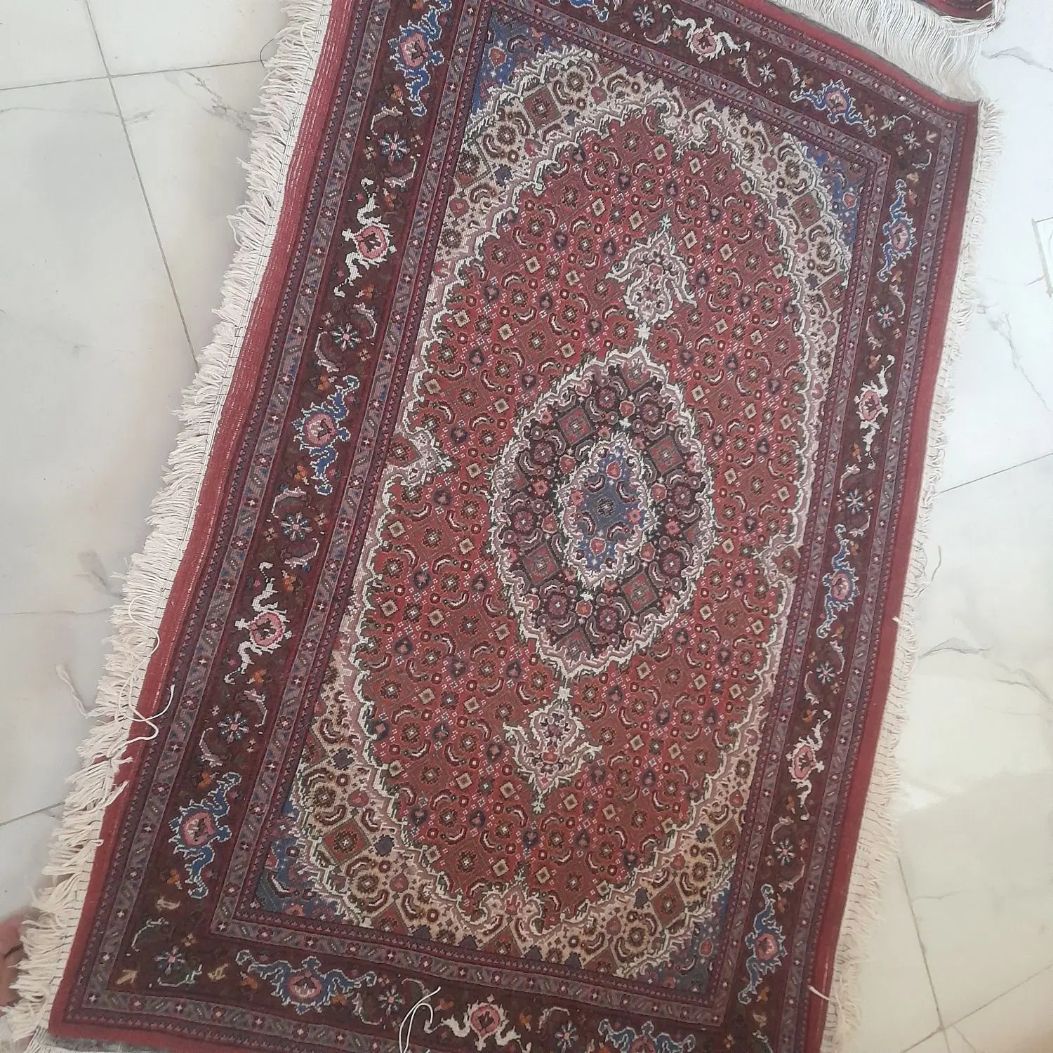 قالی|فرش|اردبیل, |دیوار