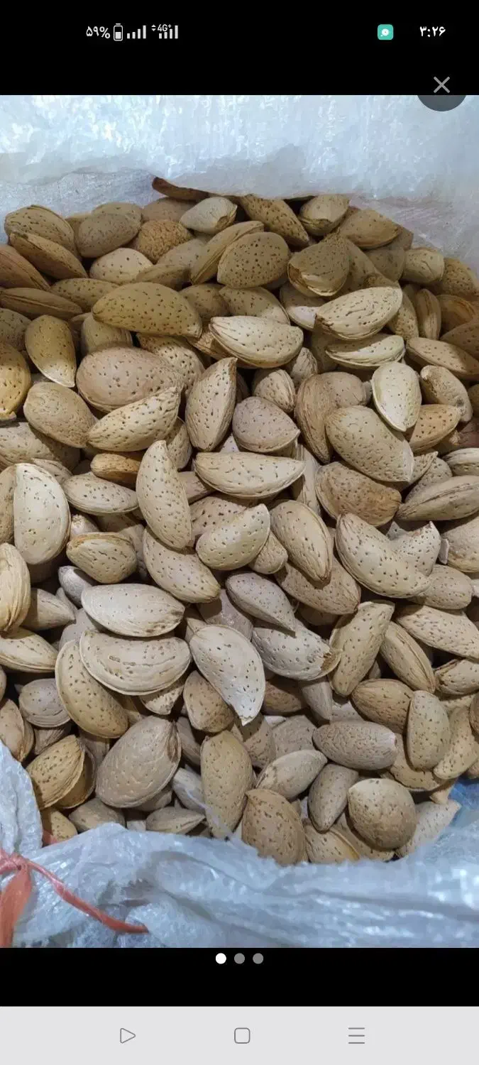 بادام تازه پرمغز چهارمحال|خوردنی و آشامیدنی|گتوند, |دیوار