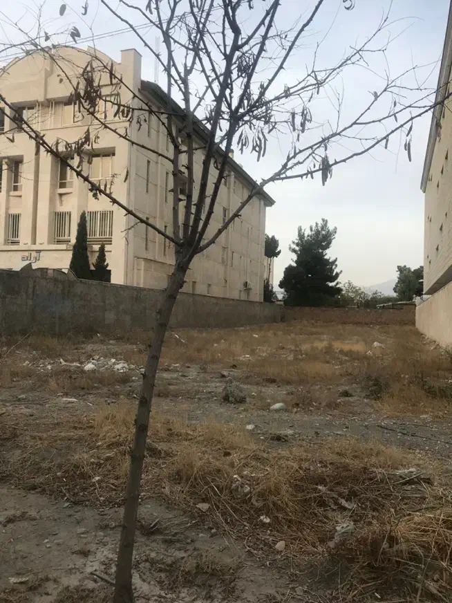 ۱۹۵۰مترزمین شمالی فاز۱ تهاترمنطقه ۱تهران|فروش زمین و ملک کلنگی|کرج, فاز ۱ مهرشهر|دیوار