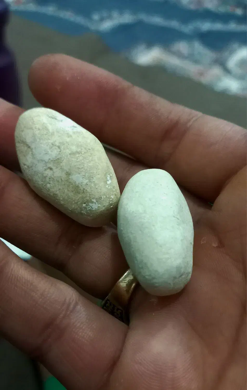 مهره قیمتی|کلکسیون اشیاء عتیقه|دره شهر, |دیوار