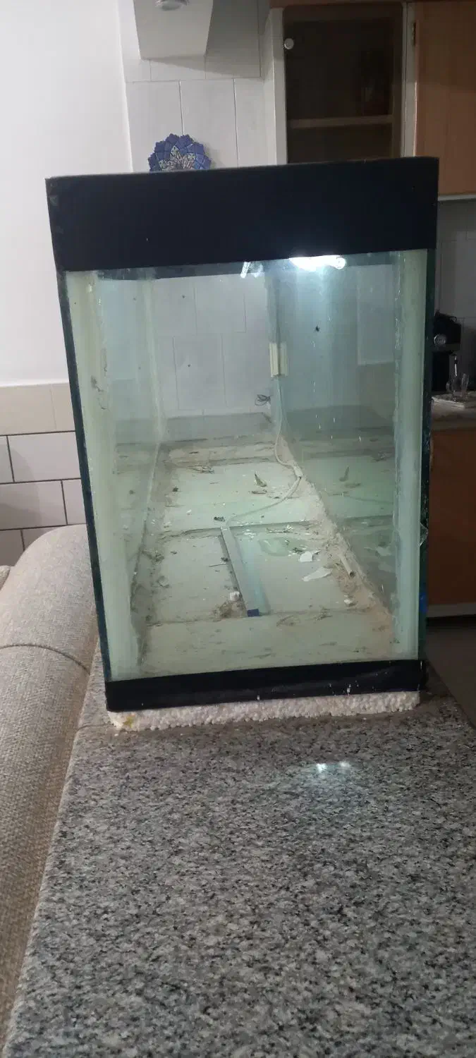 اکواریوم شیشه ده میل|لوازم جانبی حیوانات|مبارکه, |دیوار