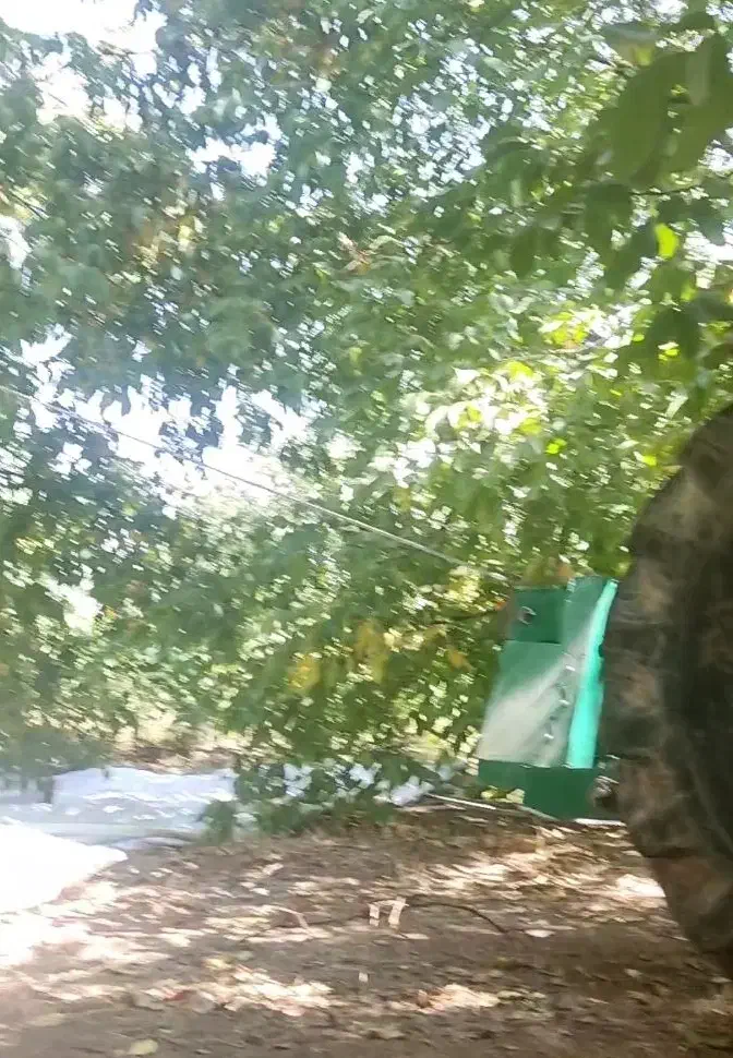 گردو تکان با دستگاه|خدمات باغبانی و درختکاری|الشتر, |دیوار