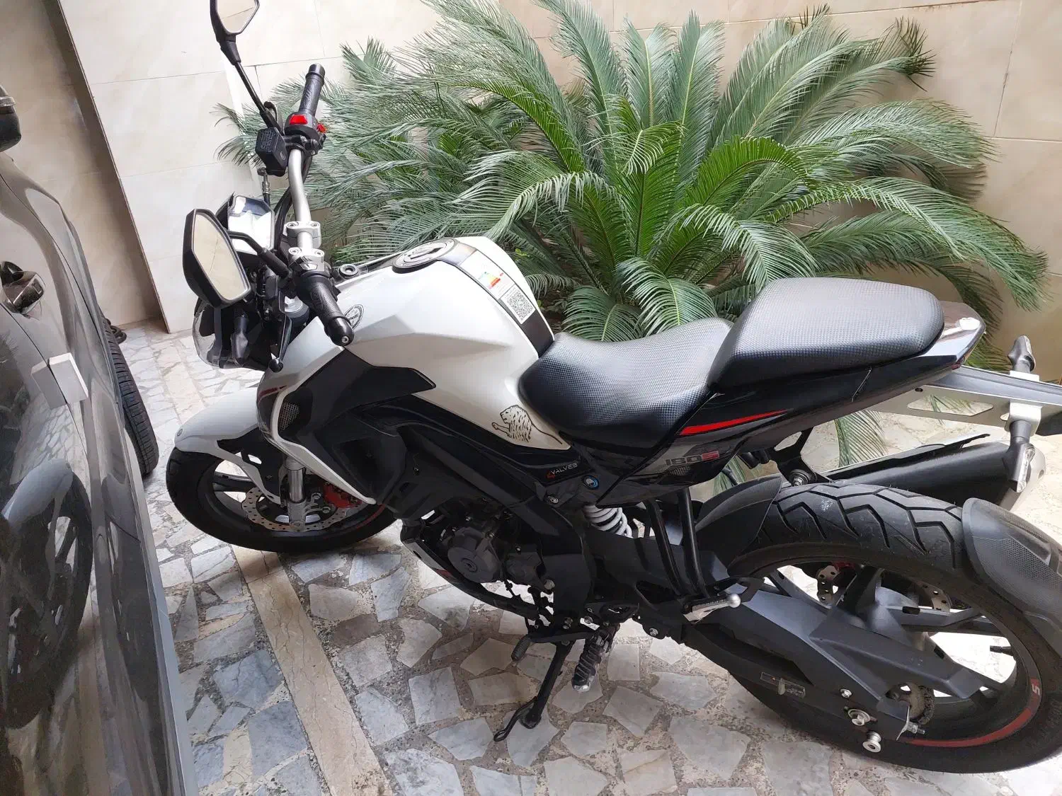 بنلی 180Sدر حد خشک|موتورسیکلت|رشت, رودباری|دیوار