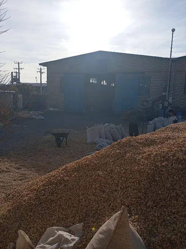 زغال نارگیل صادراتی در ابعاد دلخواه|عمدهفروشی|دلیجان, |دیوار