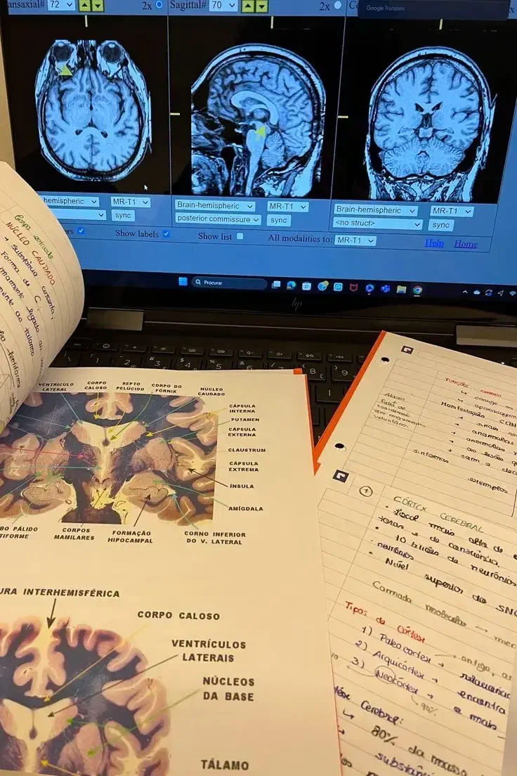 آغاز مسیر روانشناسی در قلب اروپا|خدمات آموزشی|تهران, کوی بیمه|دیوار