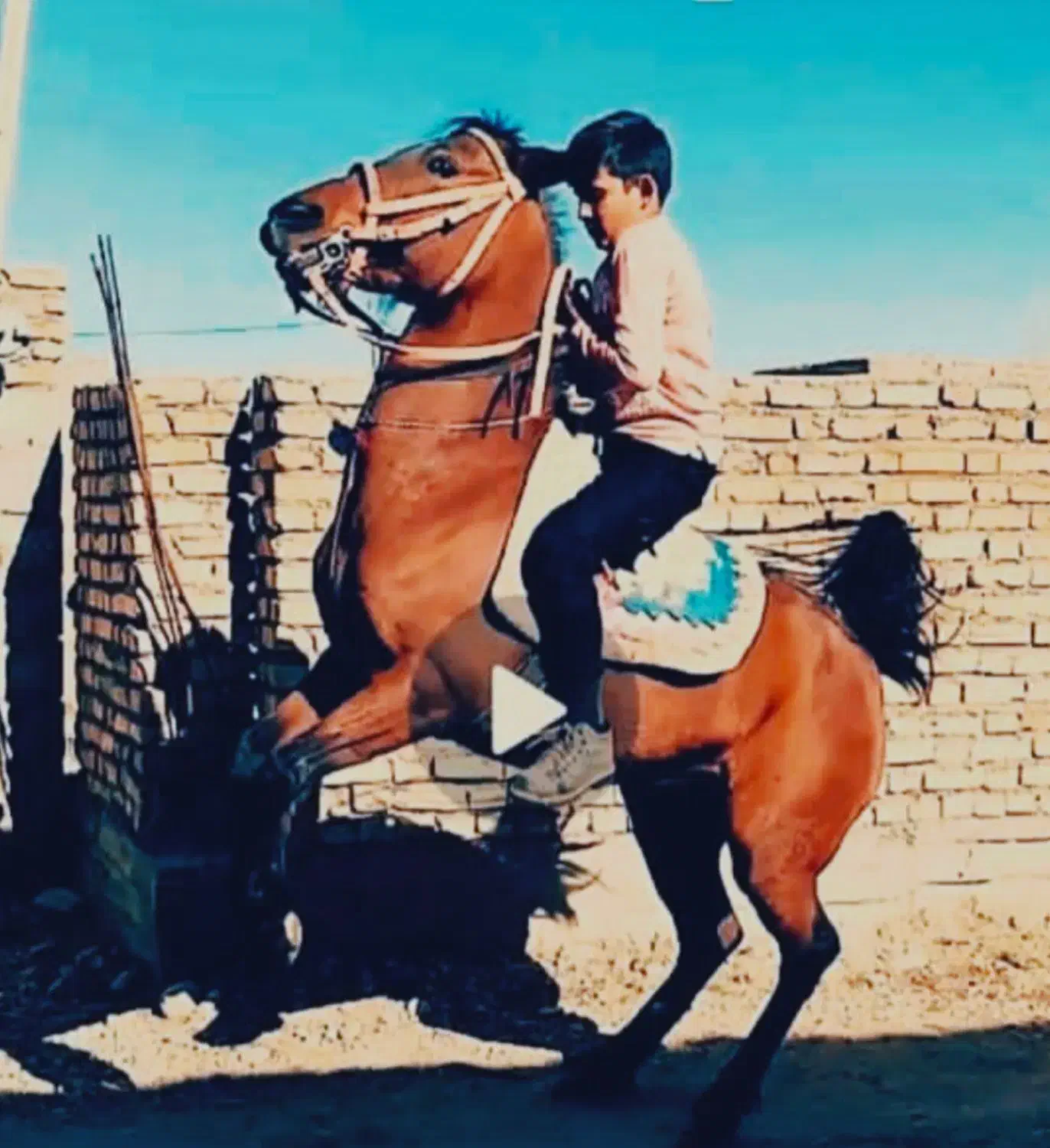 اسب دوسر کرد اصیل|اسب و تجهیزات اسبسواری|اقلید, |دیوار