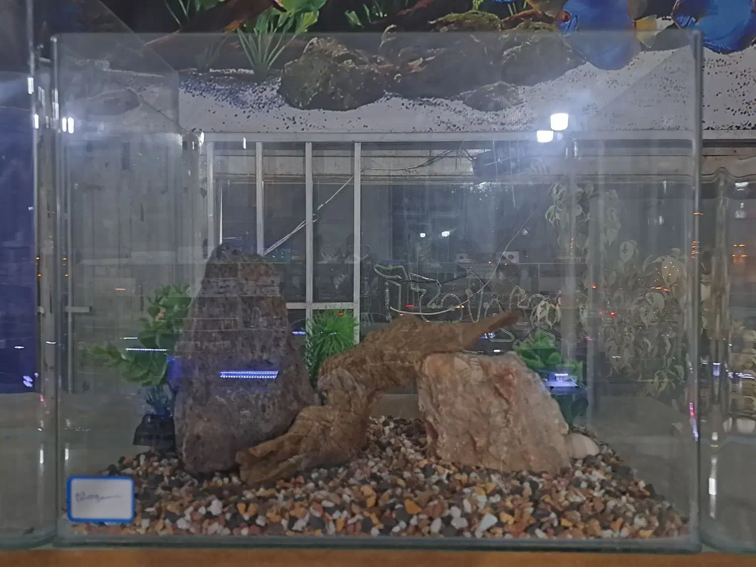 شیشه خم شرکتی دکور شده AQUA SEYF ماهی/آکواریوم|ماهی|زنجان, |دیوار