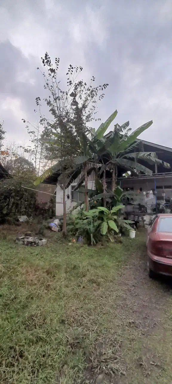 اجاره ویلایی جای دنج و آرام روستای آزرستانکی|اجارهٔ خانه و ویلا|لاهیجان, آهندان|دیوار