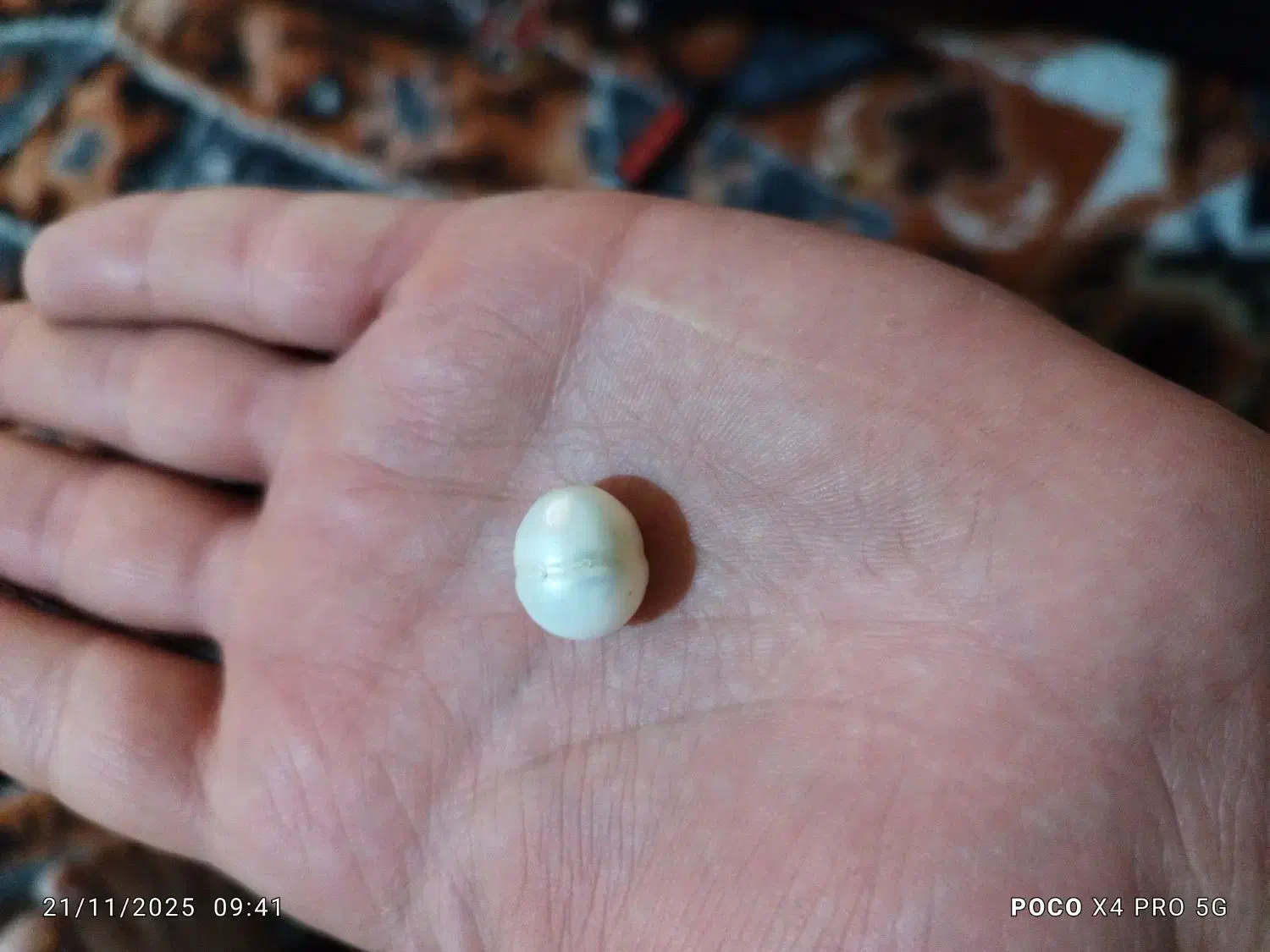 مروارید اصل غلتان از زمان هخامنشیان و آب شور|جواهرات|تربت‌حیدریه, آغوی|دیوار