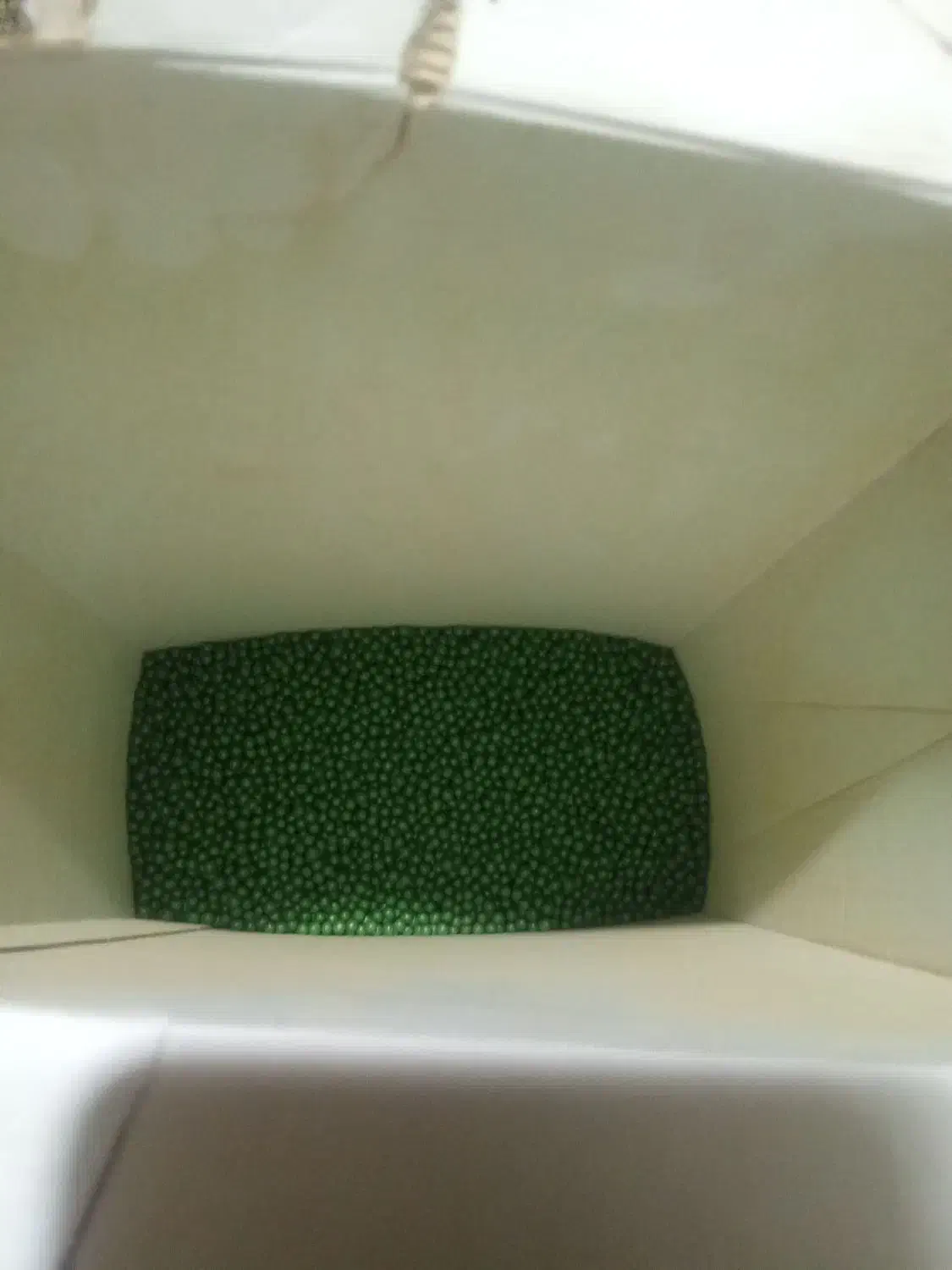 بذر چغندر|خدمات باغبانی و درختکاری|عطاملک, |دیوار