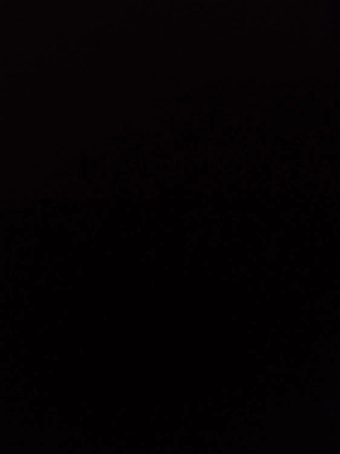 مرغ عشق|پرنده|چابهار, |دیوار