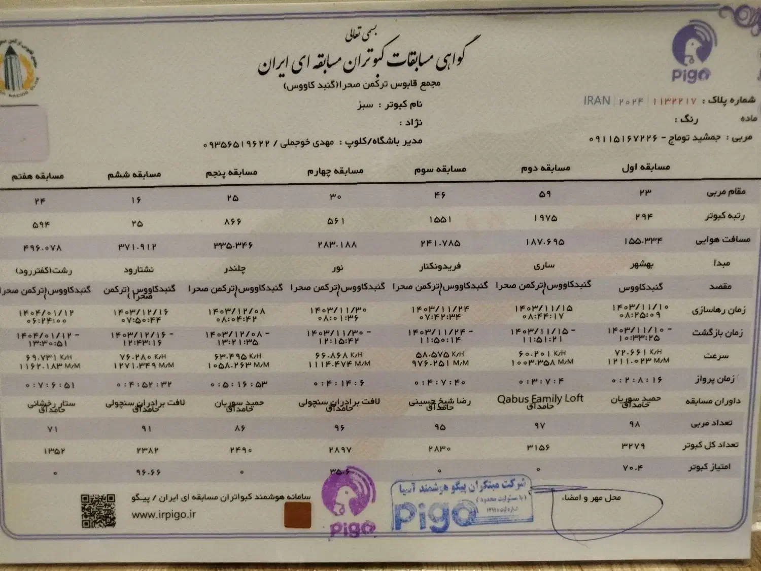 سلام جفت 500نشسته|پرنده|گنبد کاووس, |دیوار