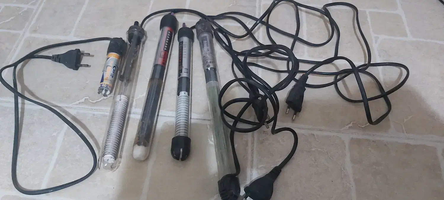 بخاری اکواریوم و سنگ مرجانی|ماهی|رشت, رودباری|دیوار