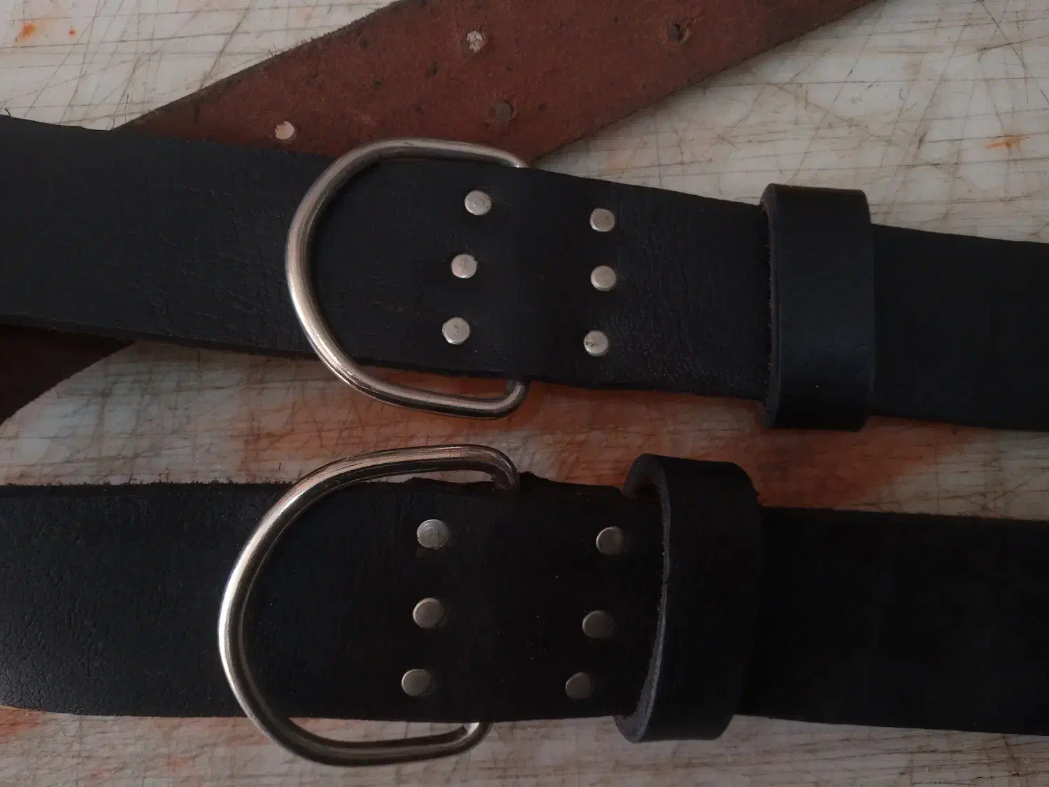 قلاده چرم|لوازم جانبی حیوانات|سراب, |دیوار