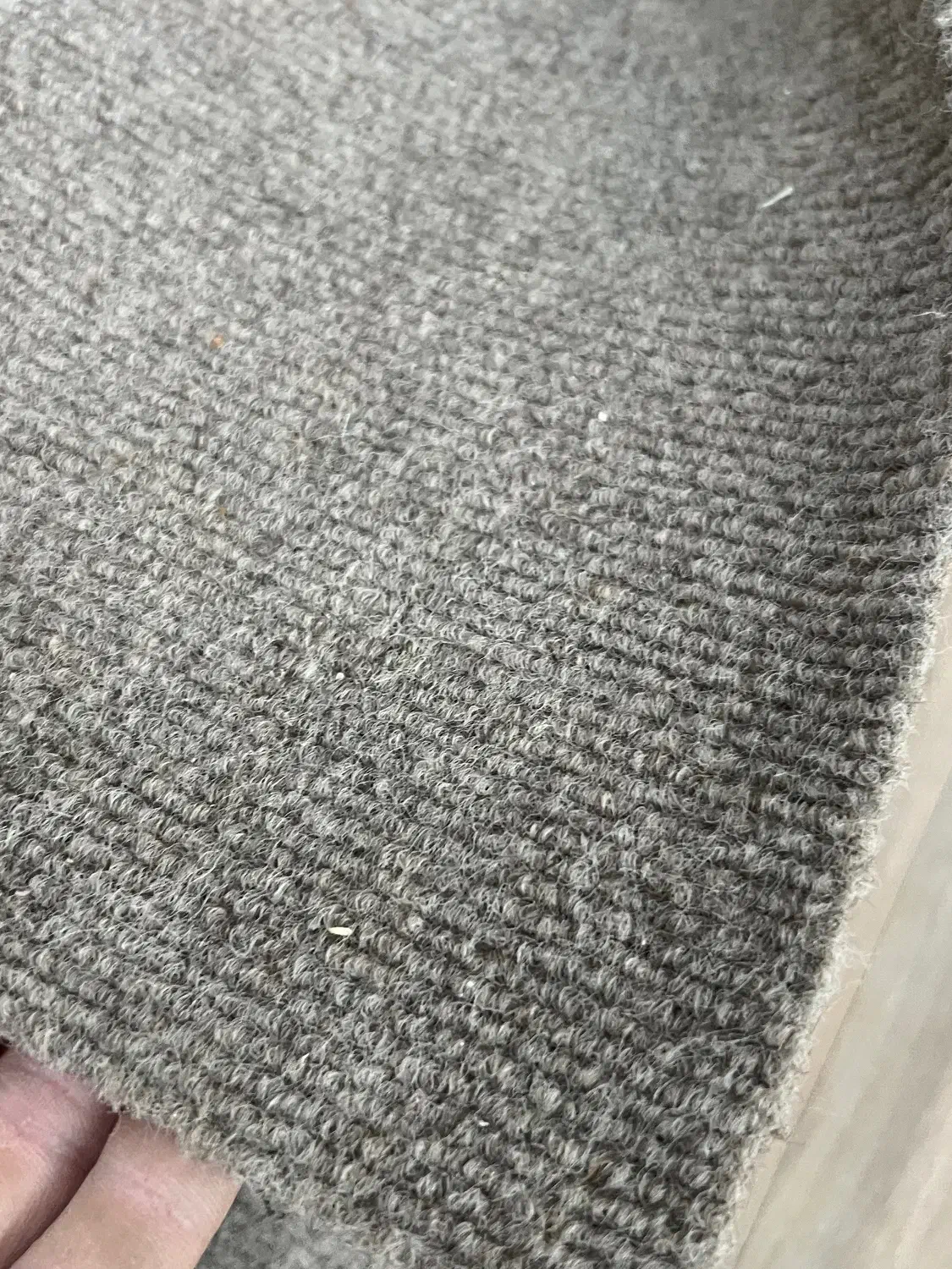 موکت|موکت|صومعه‌سرا, |دیوار