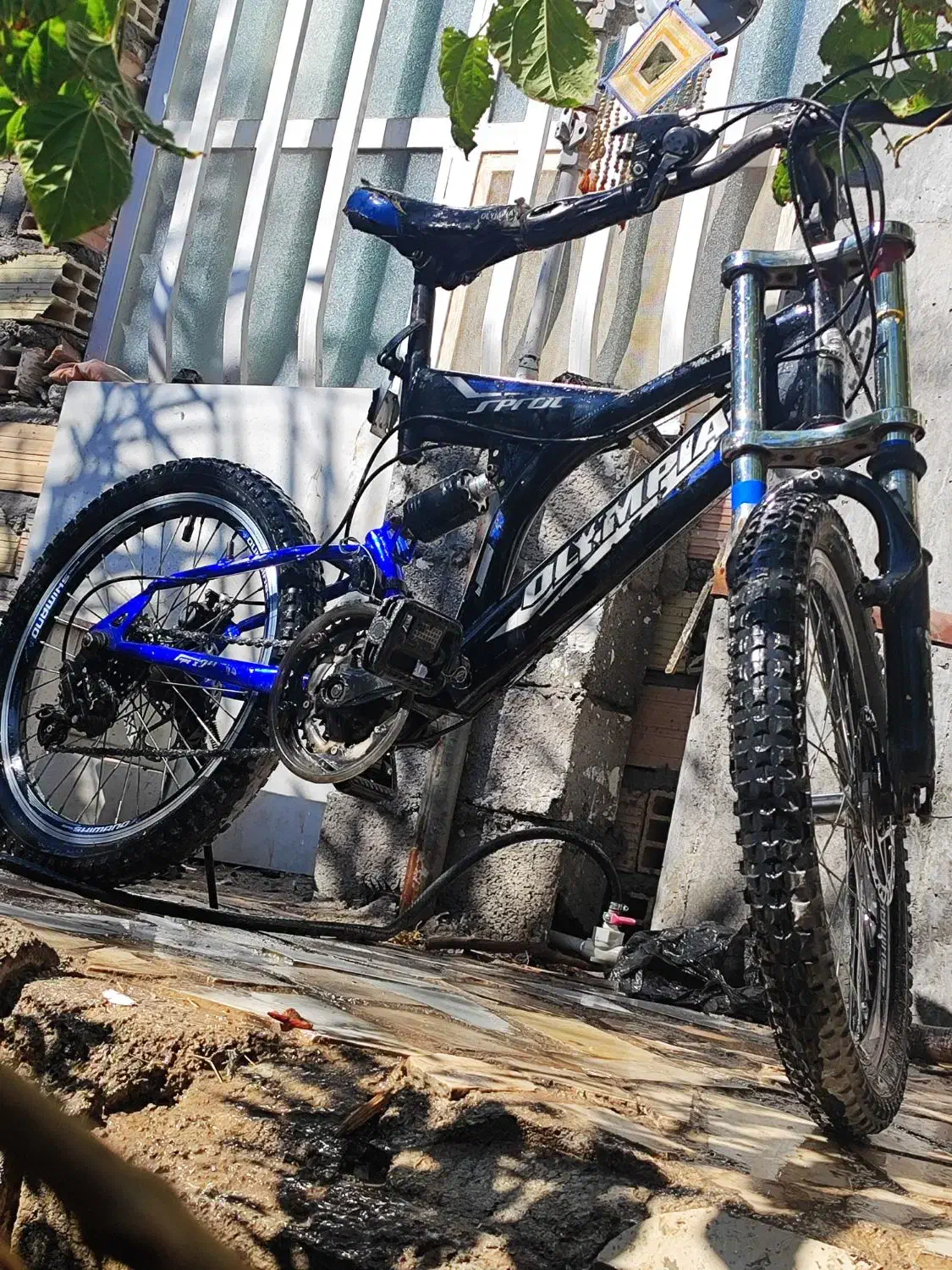 دوچرخه|دوچرخه، اسکیت، اسکوتر|نرماشیر, |دیوار