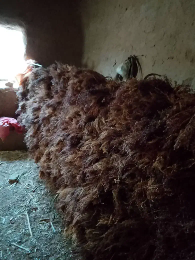 فروش جارو|لوازم نظافت|چاپشلو, |دیوار