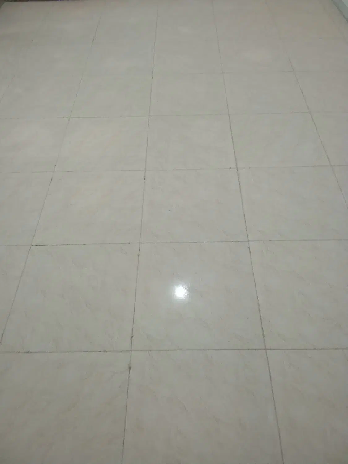 استا بنا|خدمات پیشه و مهارت|بم, |دیوار