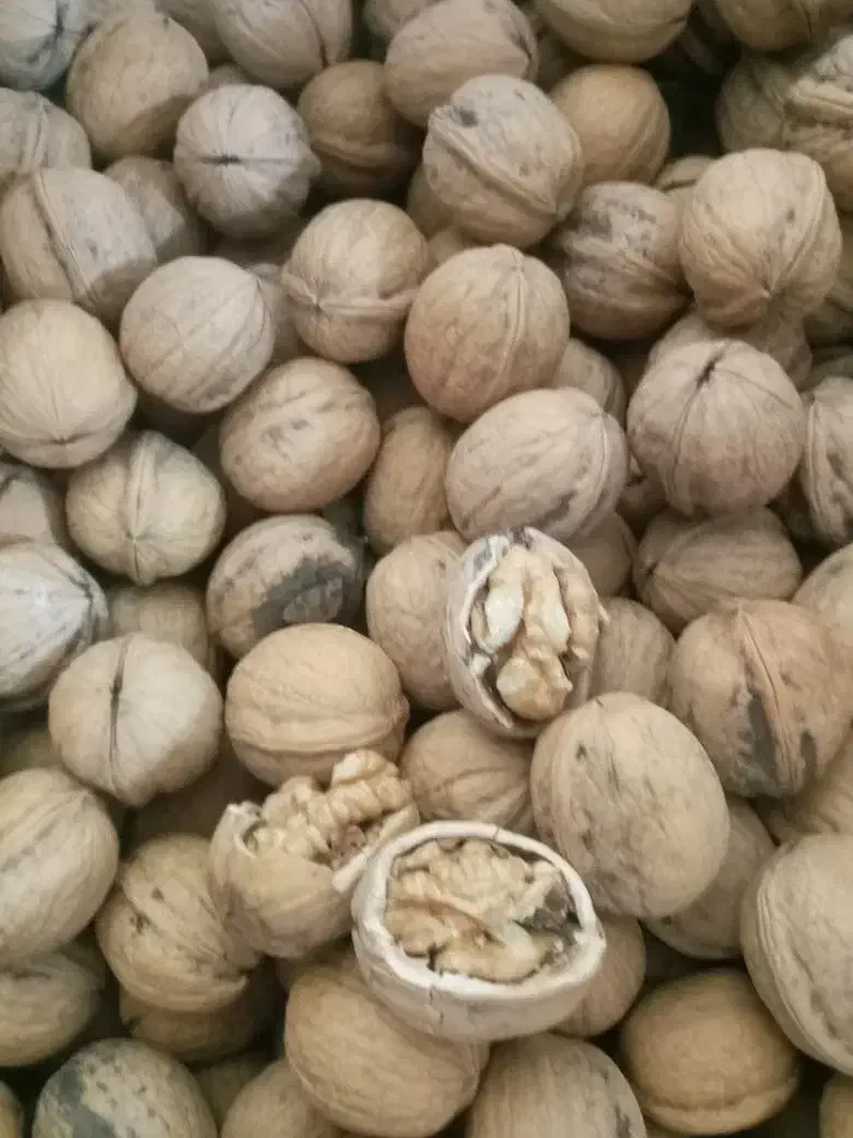 گردو خوب|خوردنی و آشامیدنی|یاسوج, |دیوار