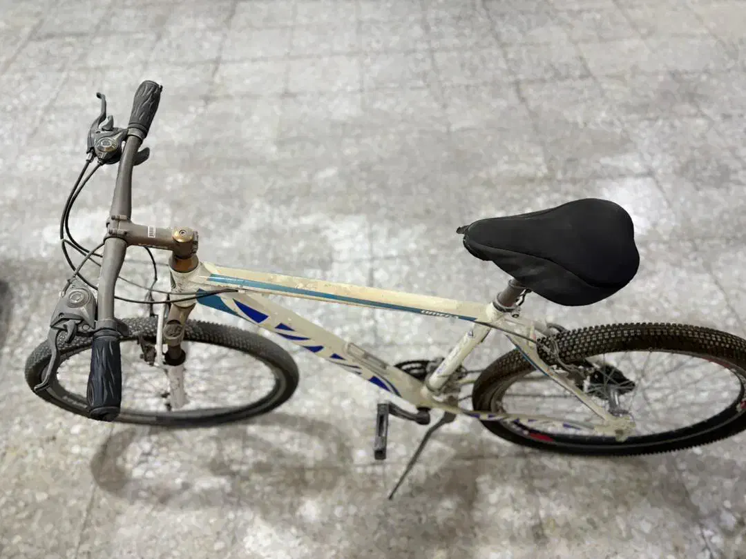 فروش دو عدد دوچرخه|دوچرخه، اسکیت، اسکوتر|بندرعباس, |دیوار