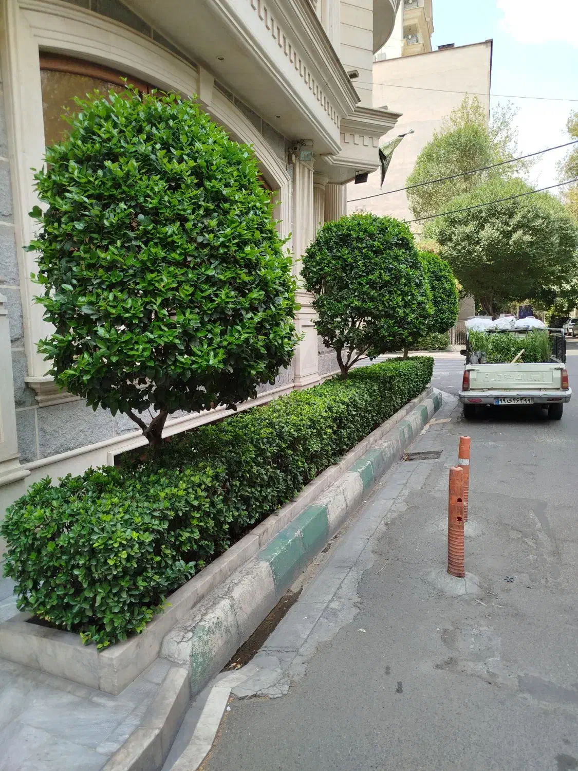 خدمات باغبانی وهرس کاری در تمام نقاط کرج|خدمات باغبانی و درختکاری|کرج, گوهردشت|دیوار