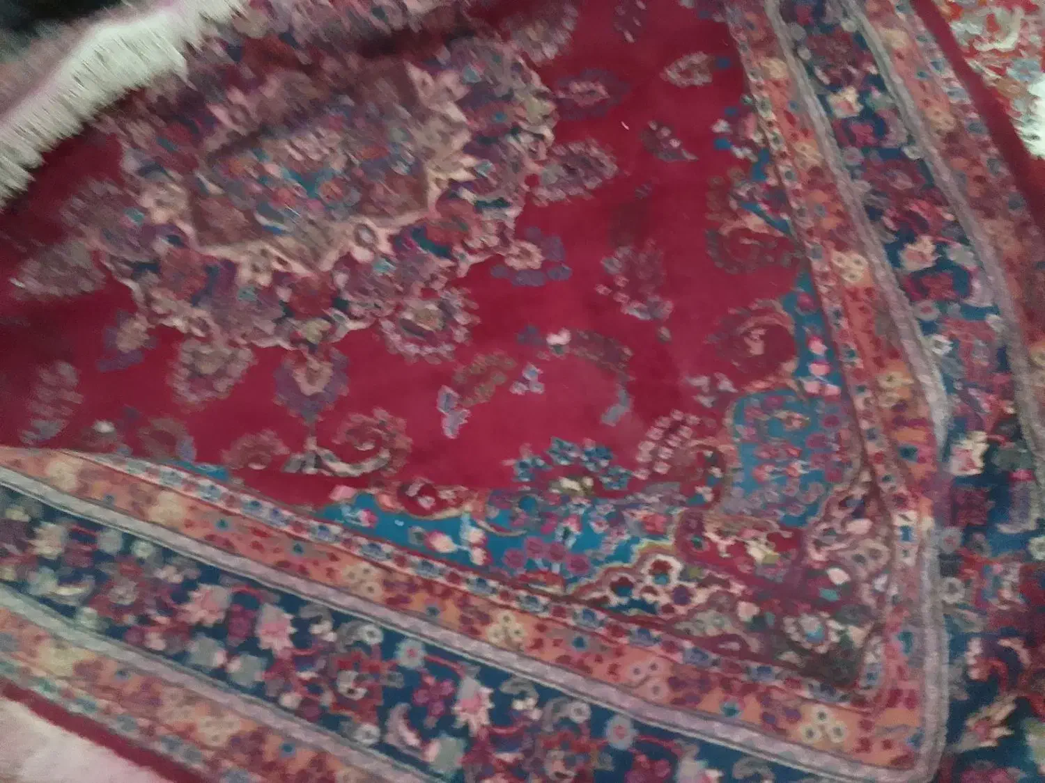 فرش دستباف|فرش|شاهرود, |دیوار