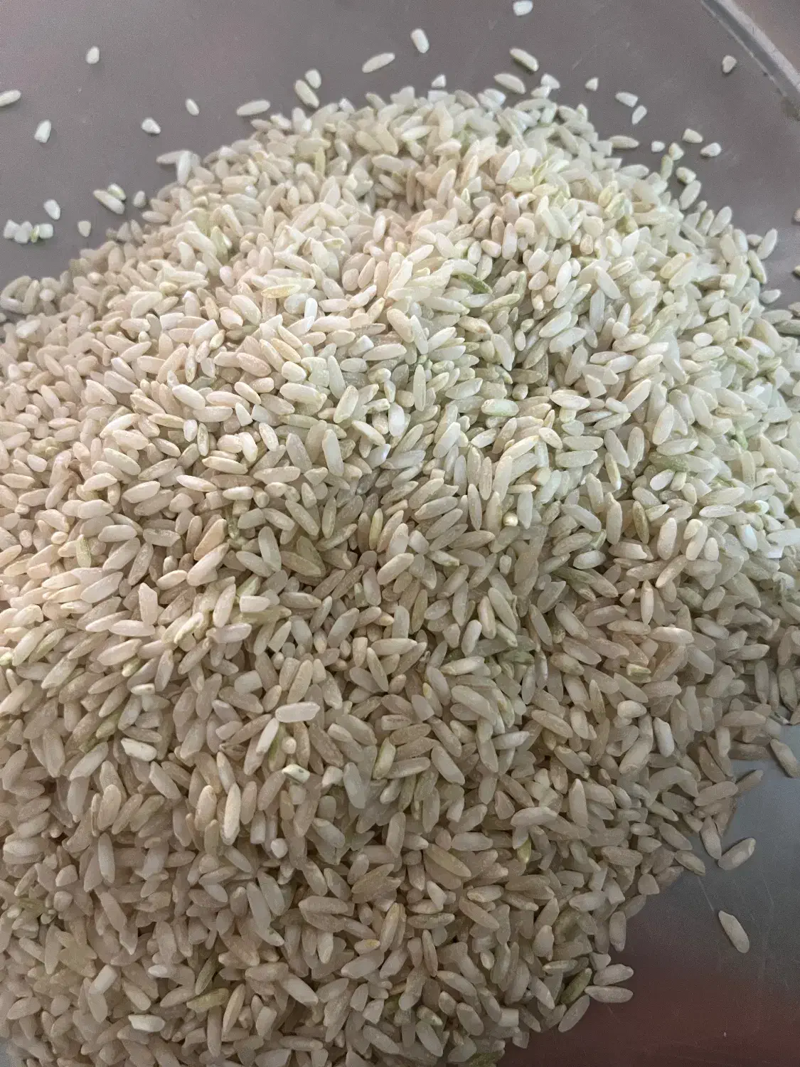 برنج چمپا صالحون|خوردنی و آشامیدنی|یاسوج, |دیوار