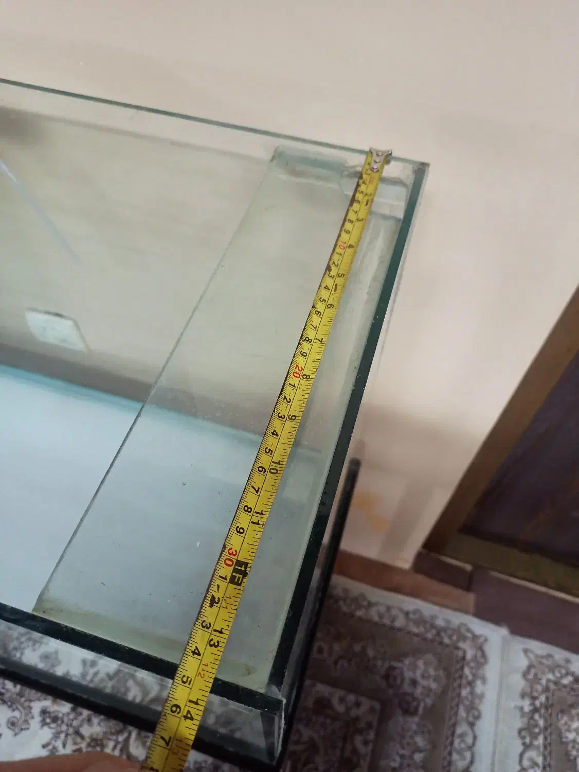 آکواریوم ماهی ۳ عدد|ماهی|بندر انزلی, متروپل|دیوار