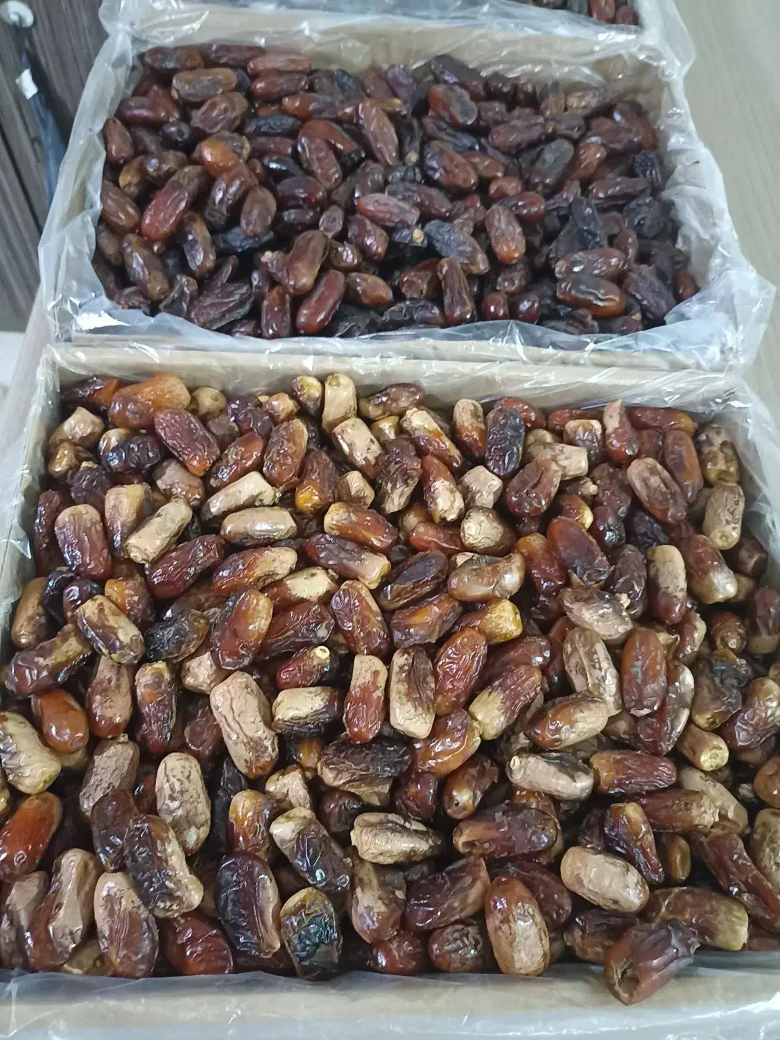 فروش خرما با تخفیف ‌، زیرقیمت بازار... خرمای ربی|عمده‌فروشی|فیروزکوه, |دیوار