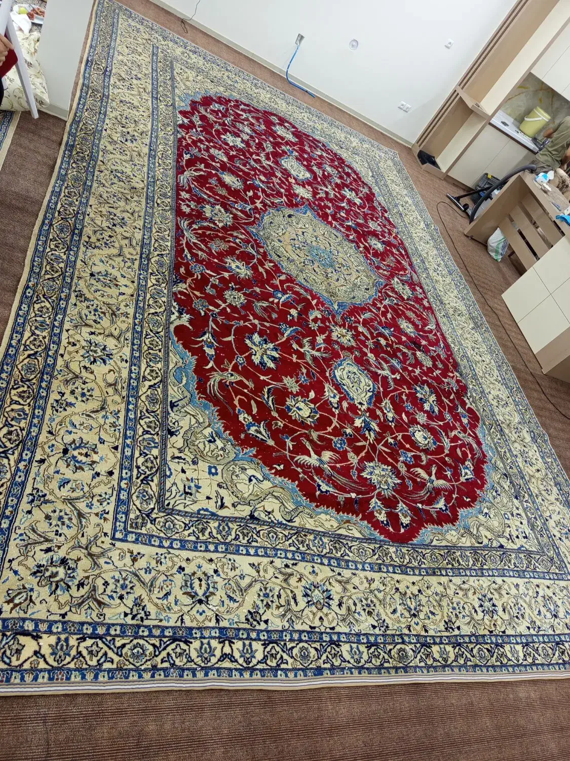 فرش دستباف بسیار شیک|فرش|اصفهان, سروستان|دیوار