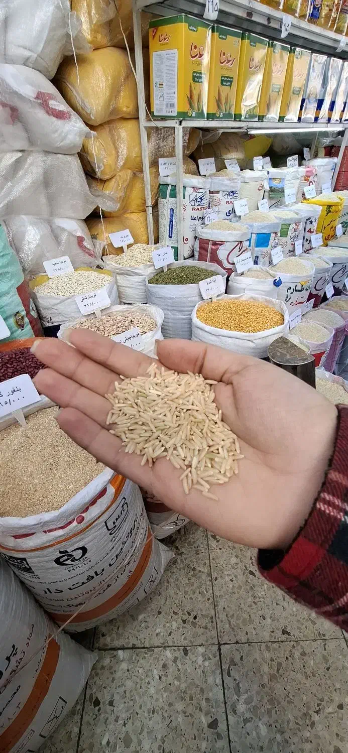 برنج ایرانی طارم قهوه ای غلامعباس فلاح وپسران(1gk)|خوردنی و آشامیدنی|مشهد, رسالت|دیوار