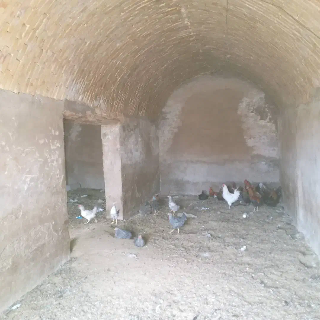 فروش گله دانی خوش جا دو نبش|فروش دفتر صنعتی، کشاورزی، تجاری|شهرضا, |دیوار