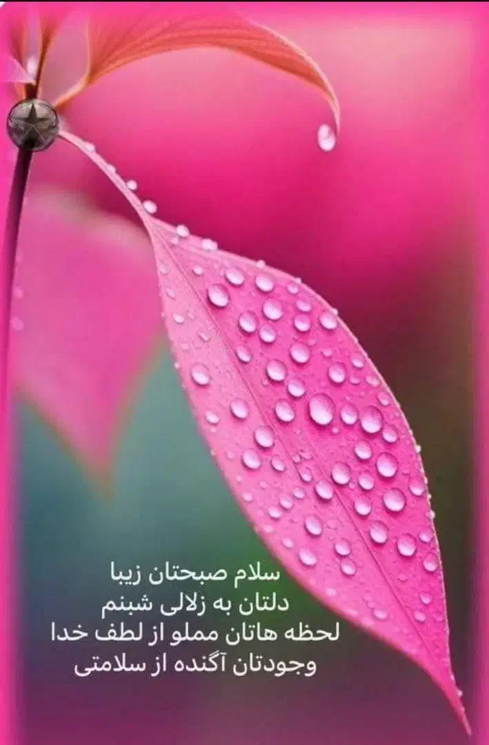 مشاوره راهنمایی اشتغال زایی|فعالیت داوطلبانه|شاهین‌شهر, فیض|دیوار
