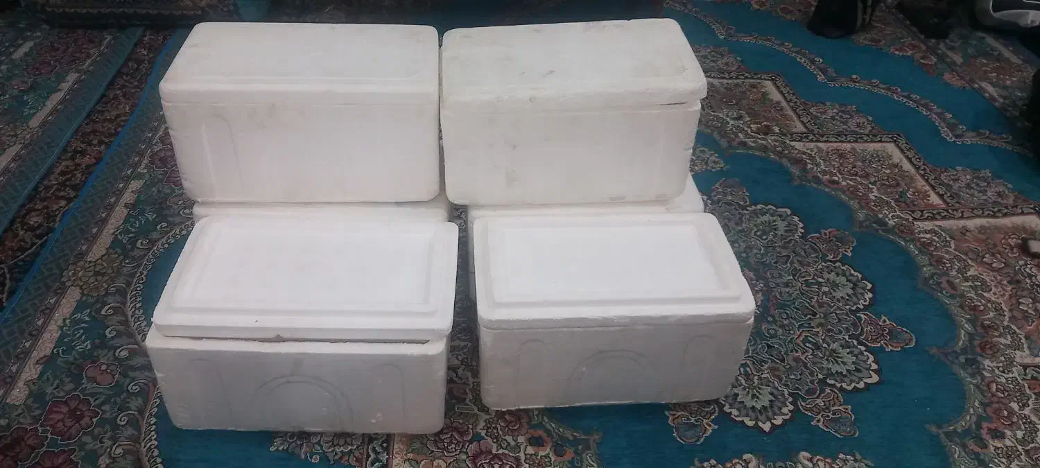 فیبر یخچالی|ظروف نگهدارنده، پلاستیکی، یک‌بارمصرف|زاهدان, |دیوار