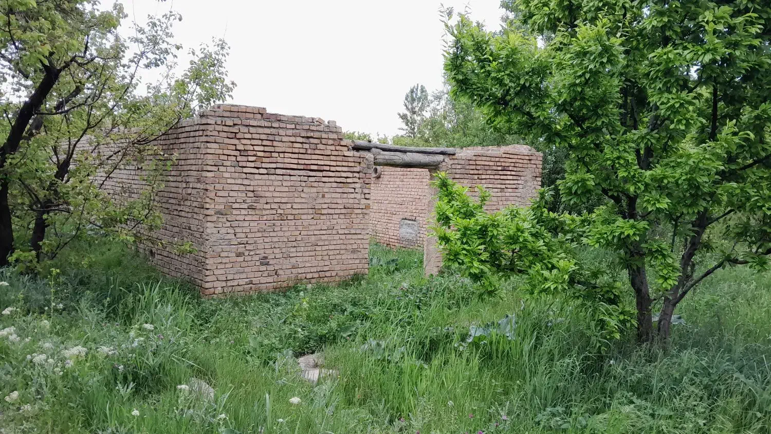 ویلاباغ دارای مجوز ساخت وبرق براسفالت|فروش خانه و ویلا|ارومیه, |دیوار