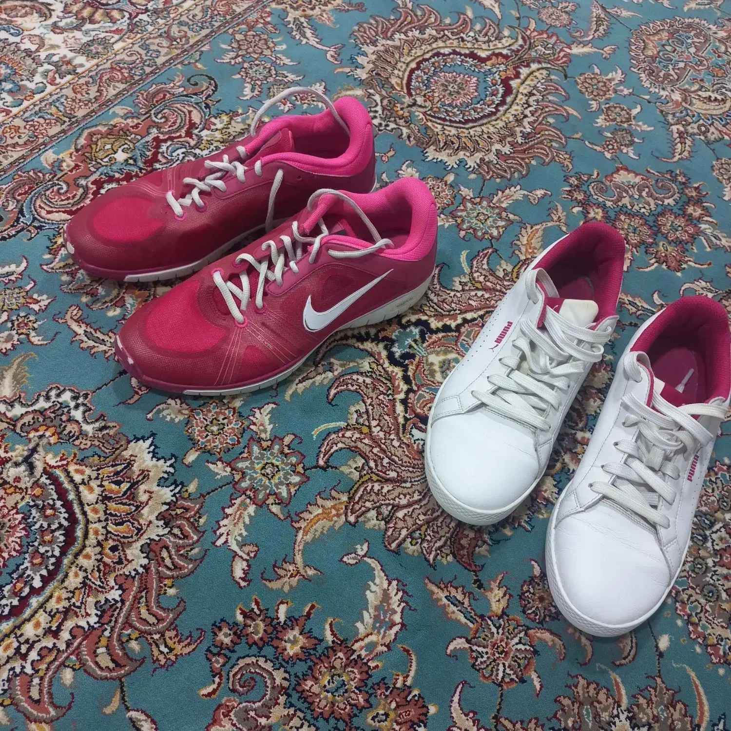 کفش/ پوما/ اصلی/نایک/ اسپورت|کیف، کفش، کمربند|سروآباد, |دیوار