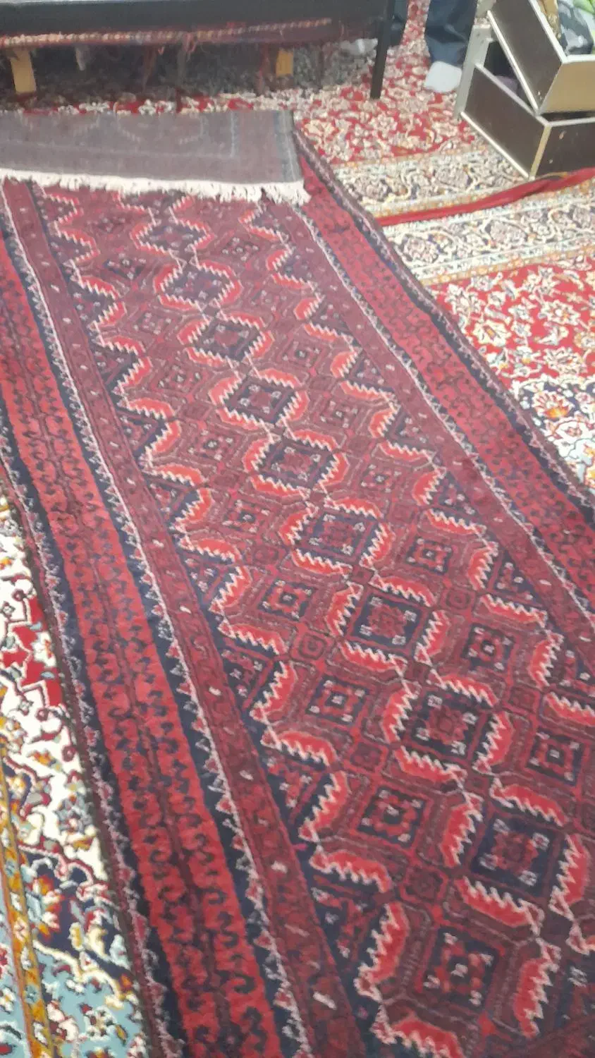 فرش دستباف|فرش|مشهد, طبرسی شمالی|دیوار