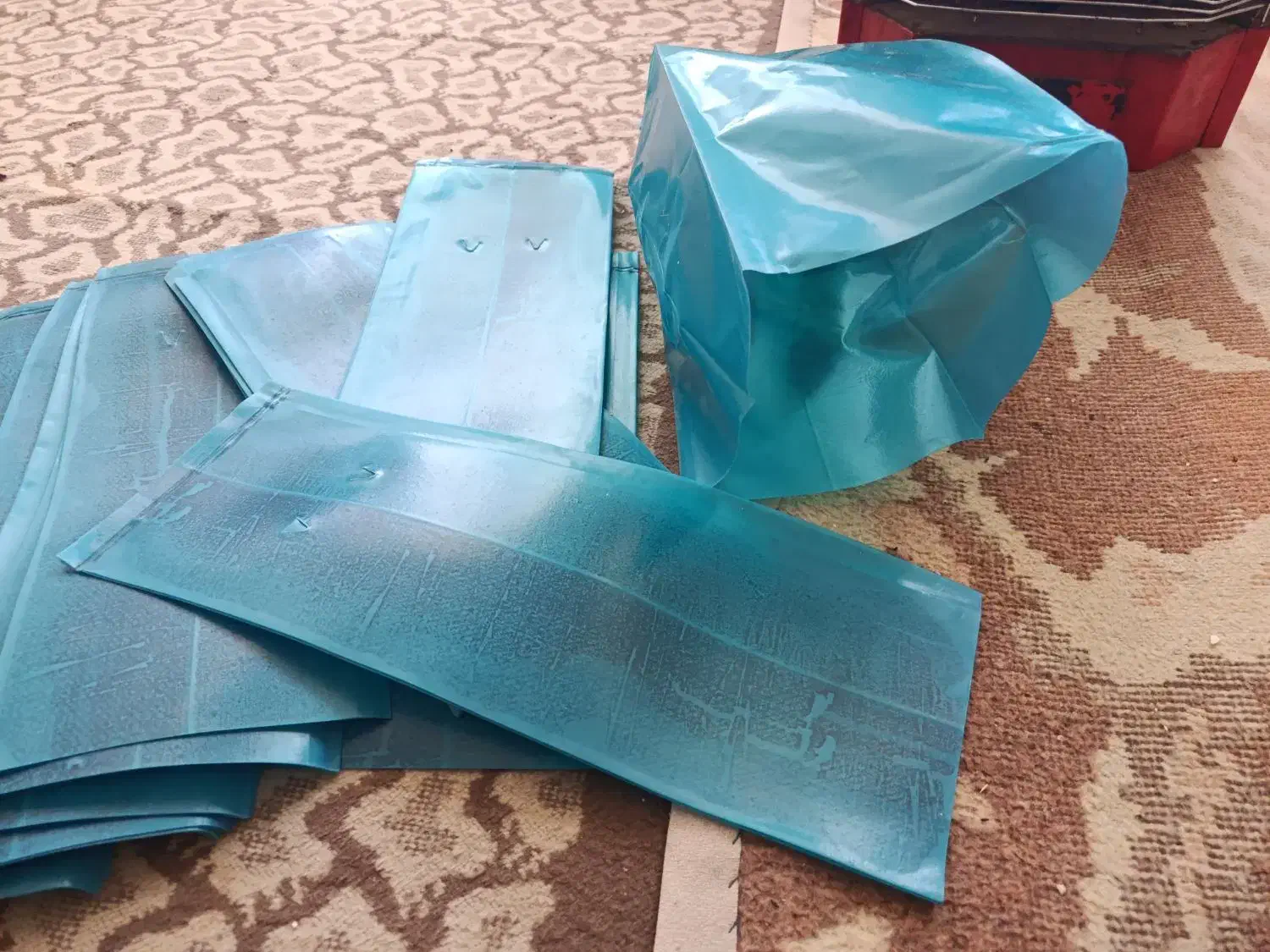 پاکتبزرگریشه|گل و گیاه طبیعی|میاندوآب, |دیوار