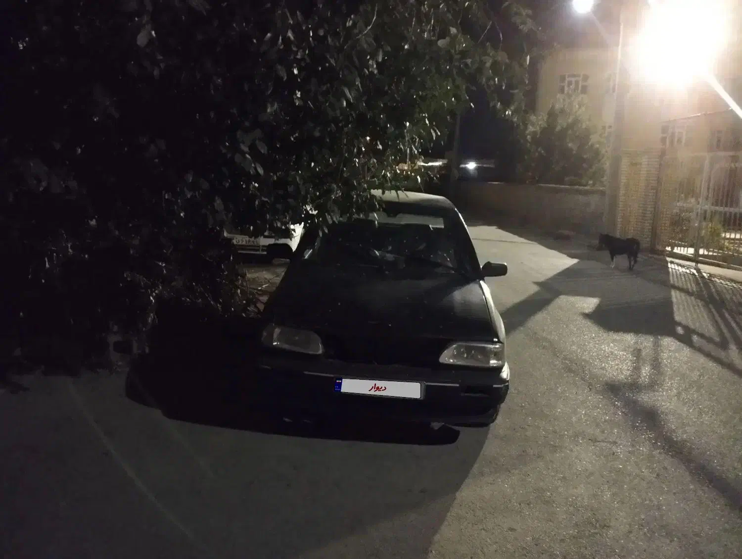 پراید مدل 81|خودرو سواری و وانت|مشگین شهر, |دیوار