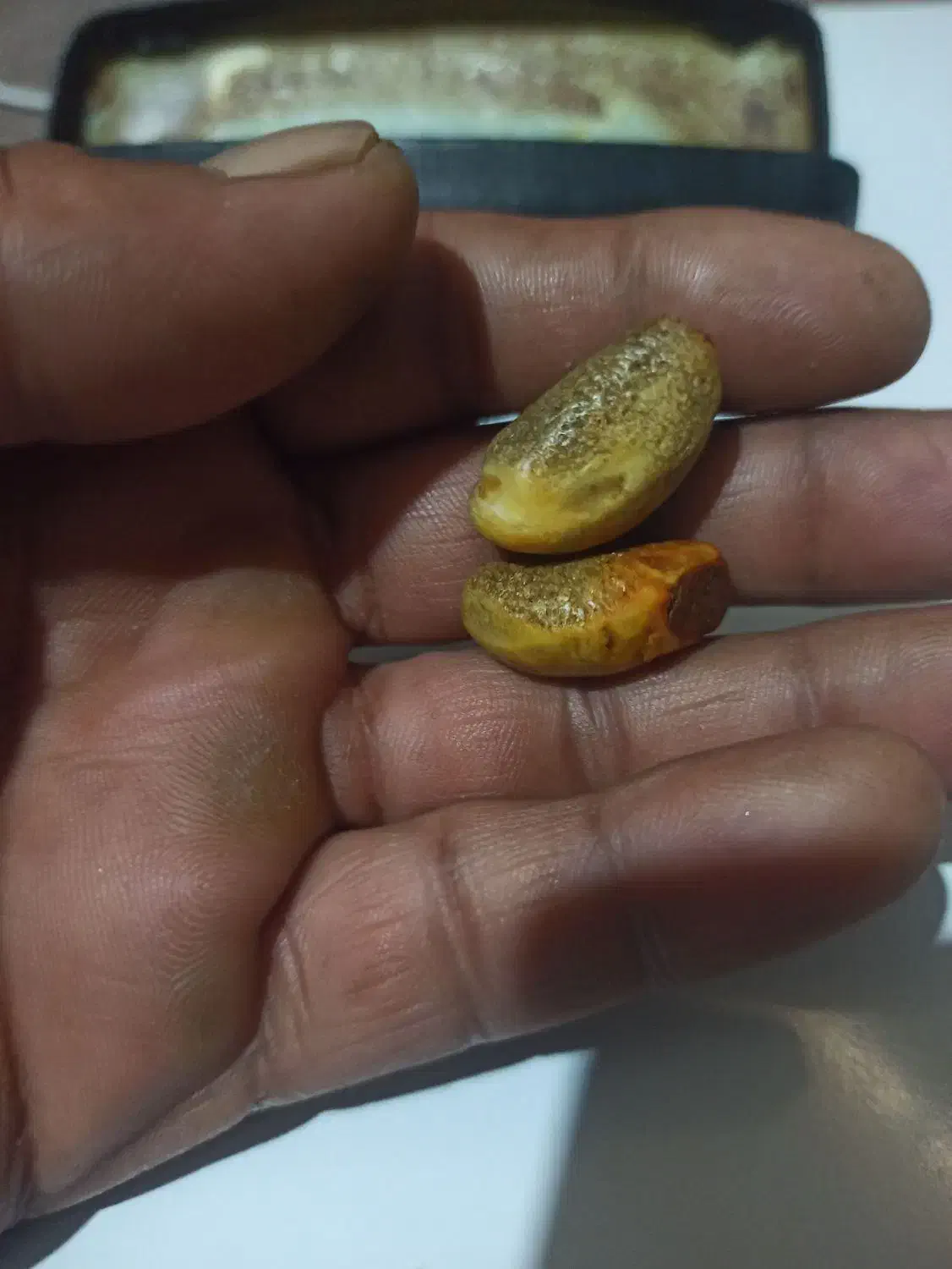 مهره|کلکسیون اشیاء عتیقه|اهواز, کمپلو جنوبی|دیوار