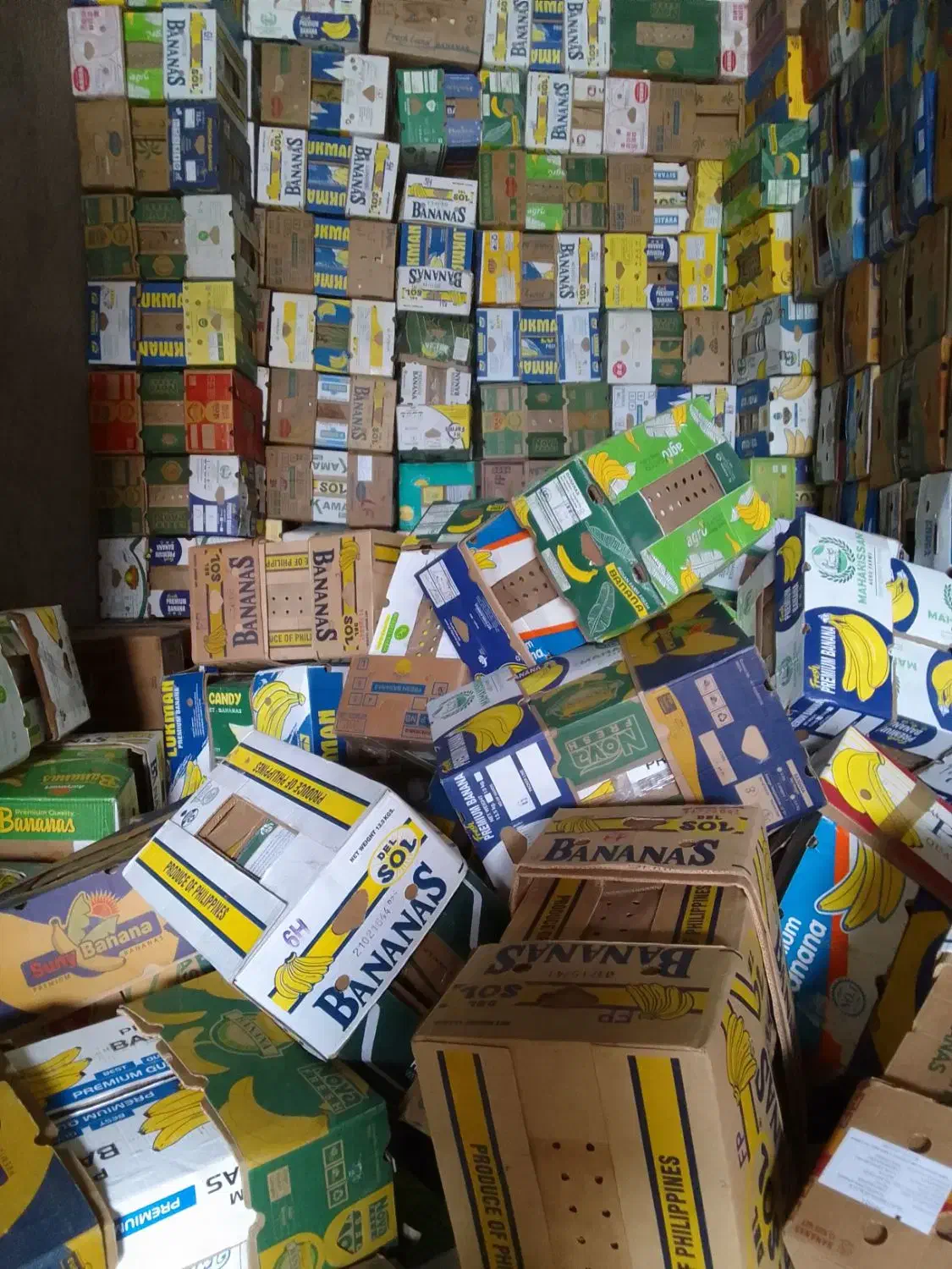 خرید و فروش کارتون موزی|عمده‌فروشی|اسلام‌شهر, شهرک امام حسین (میان آباد)|دیوار