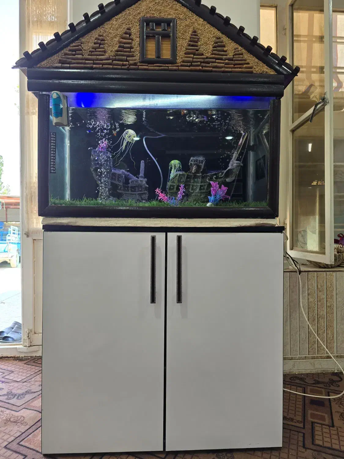 آکواریوم بسیار زیبا|ماهی|کوار, |دیوار