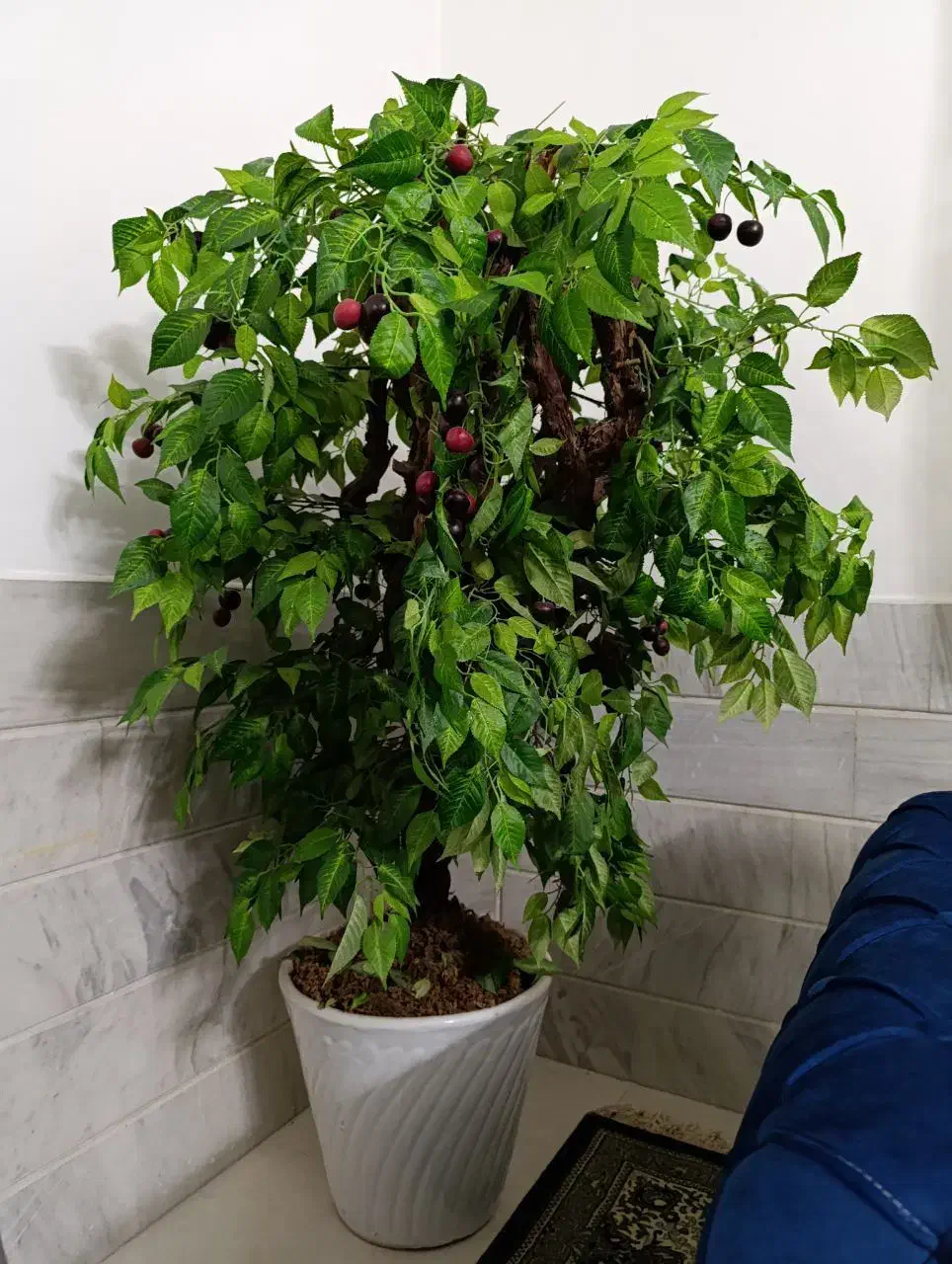 درخت مصنوعی|گل مصنوعی|زاهدان, |دیوار