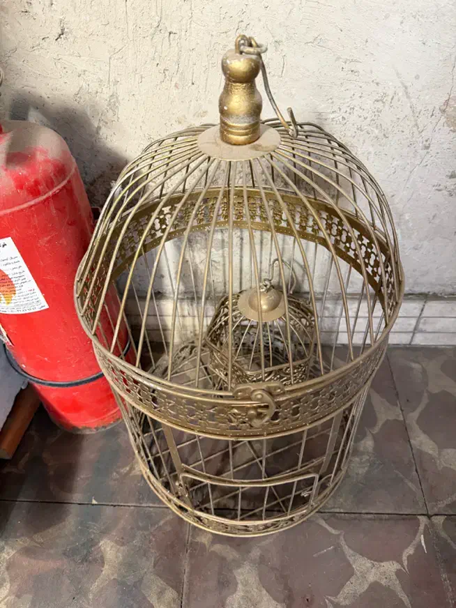 قفس پرنده|لوازم جانبی حیوانات|تبریز, |دیوار