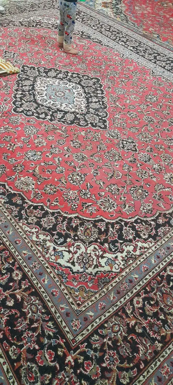 فرش|فرش|مشهد, بهمن|دیوار