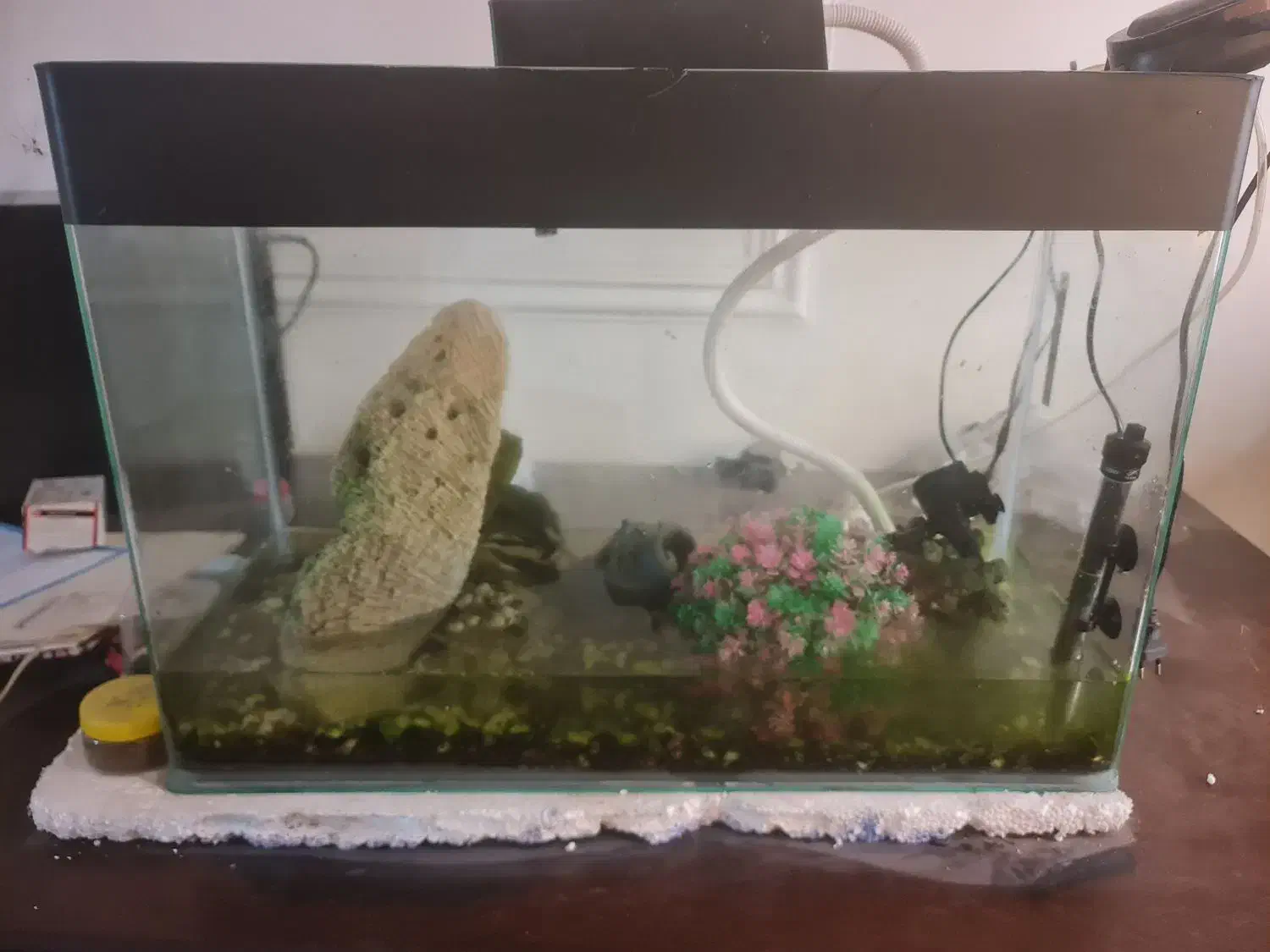 آکواریوم بزرگ کاملا سالم|ماهی|تهران, شمس‌آباد|دیوار