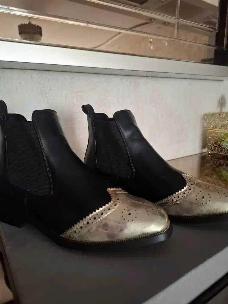 نیم بوت|کیف، کفش، کمربند|شیراز, دلجو|دیوار