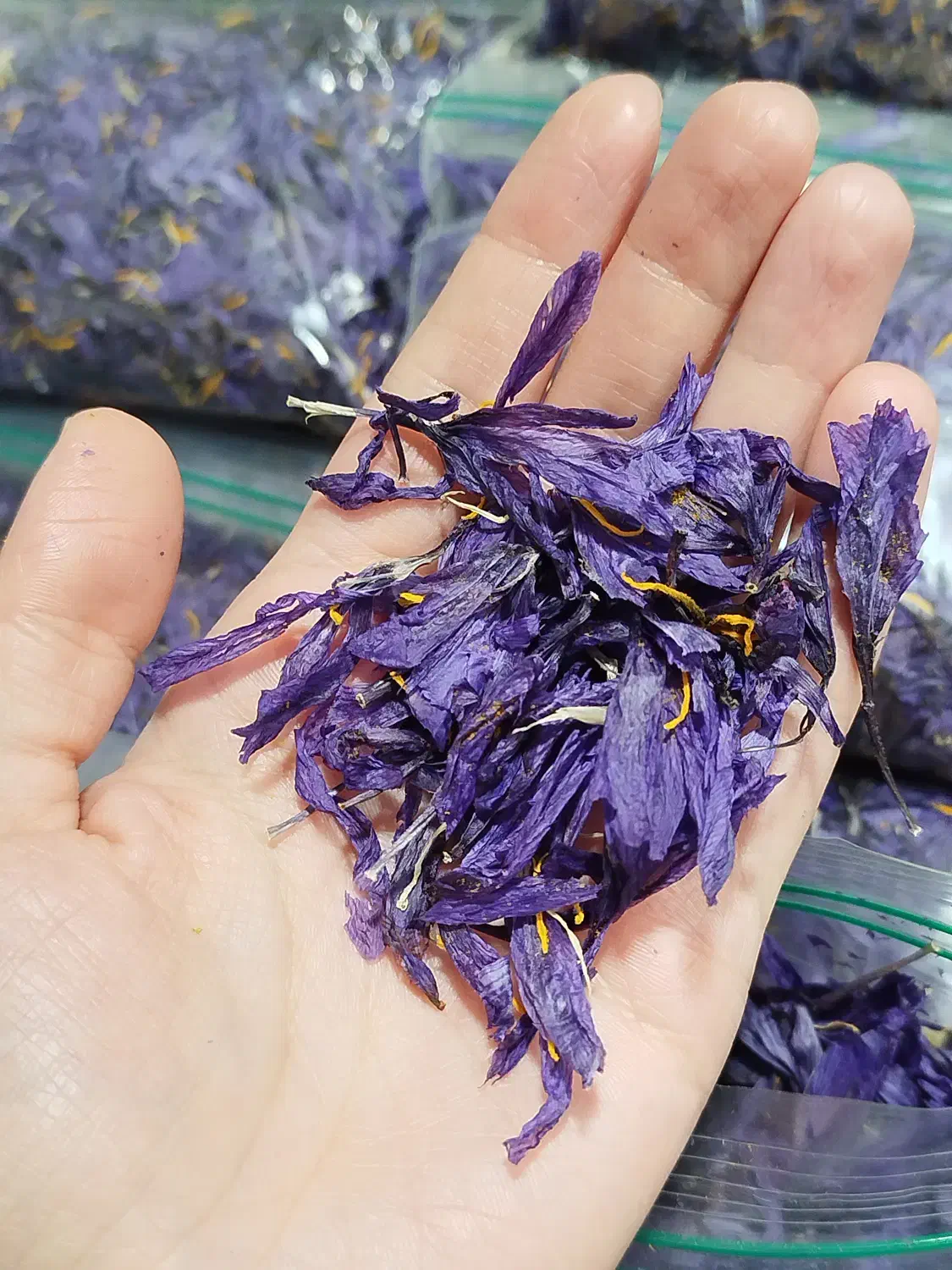 گلبرگهای خشک شده زعفران|خوردنی و آشامیدنی|نورآباد, |دیوار